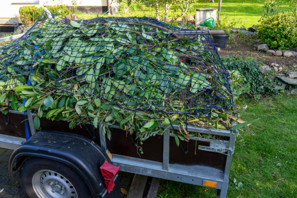 Best Carpet Removal and Disposal  in Gridley, IL